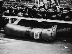 Quelques mots sur la boxe