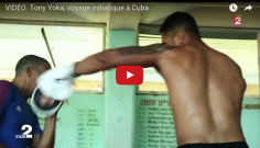 Tony Yoka à Cuba