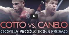 Cotto vs Canelo : J-1