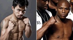 MANNY et FLOYD : banco pour 14 jours ?