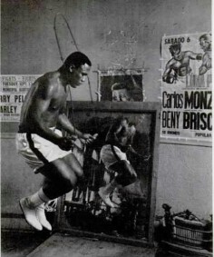 CHIC PIC #44 : Smokin’ Joe