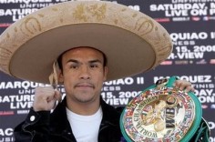 Juan Manuel Marquez de retour à la salle