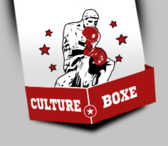 Cultureboxe, bilan 2011